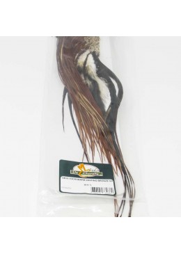 Media colgadera Whiting Bronze