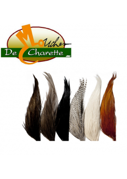 Medio cuello whiting HEBERT