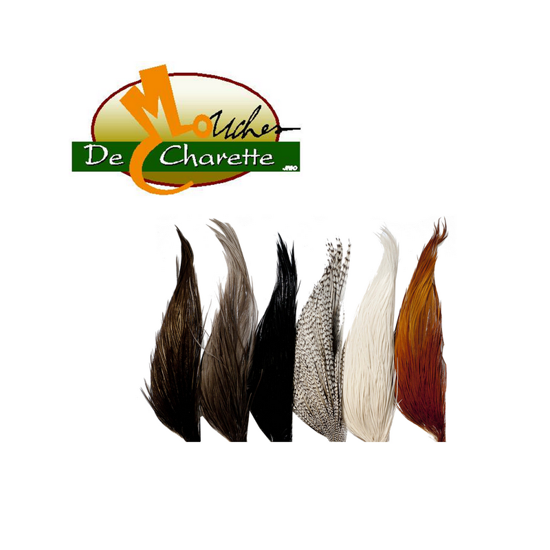 Medio cuello whiting HEBERT