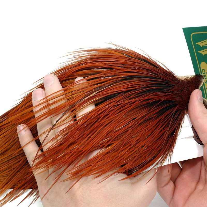 Medio cuello whiting HEBERT