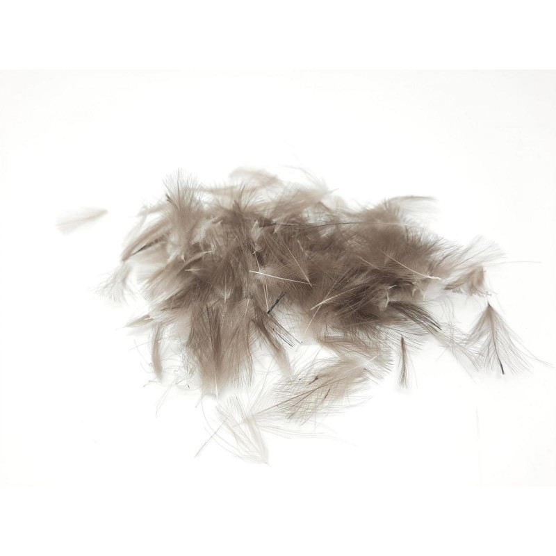 CDC NATURAL SALVAJE AUTENTICO