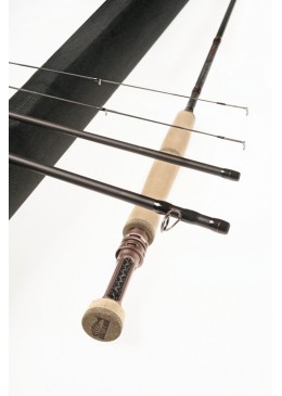 CAÑA SOLDARINI HYDROPSYCHE...