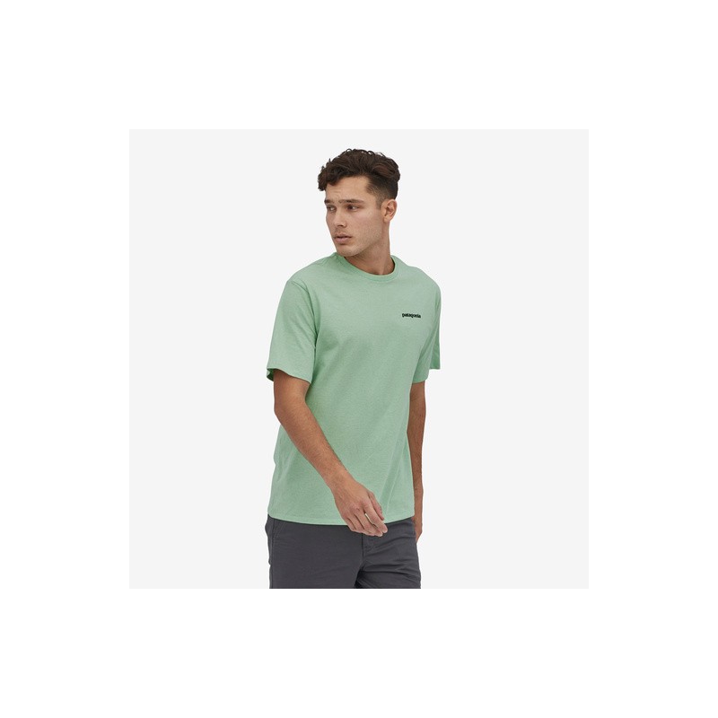 Camiseta Patagonia P-6 responsibili-tee
