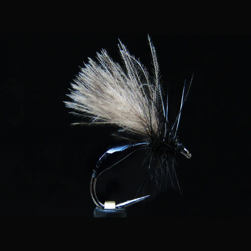 Diptero hormiga black T