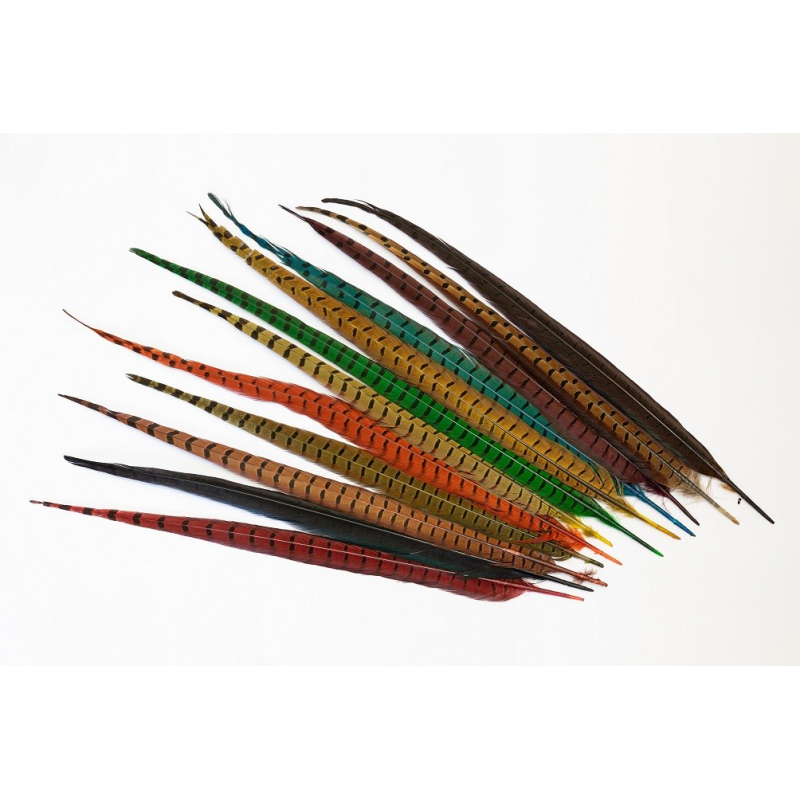 PLUMA FAISAN VENIARD