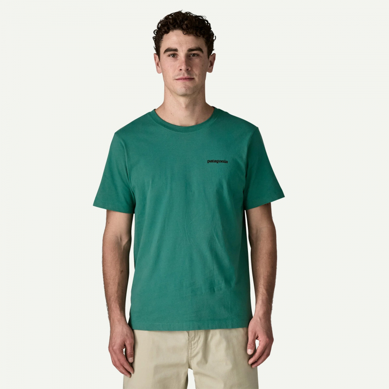 Camiseta Patagonia P-6 Logo T-shirt