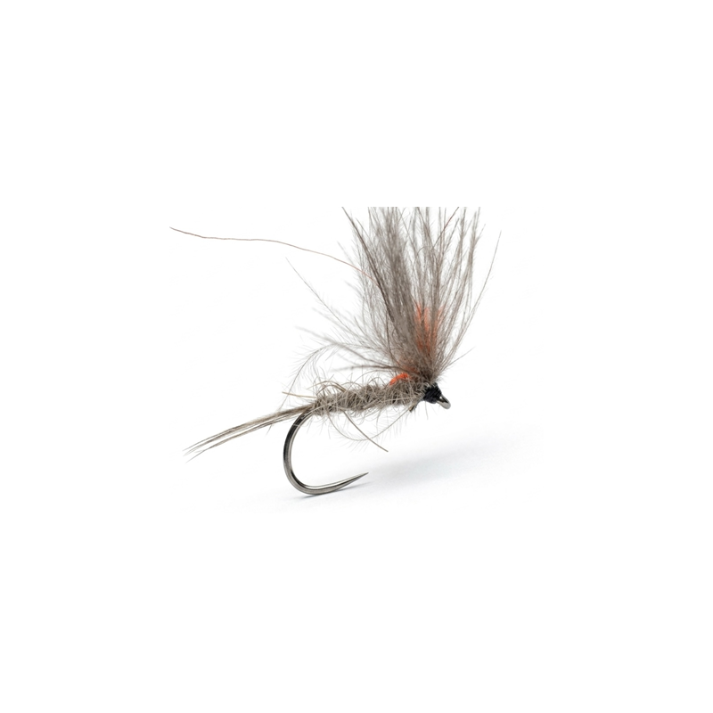 PIR-03 LIEBRE