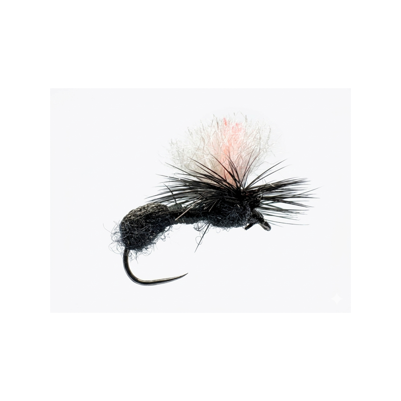 PIR-05 ANT